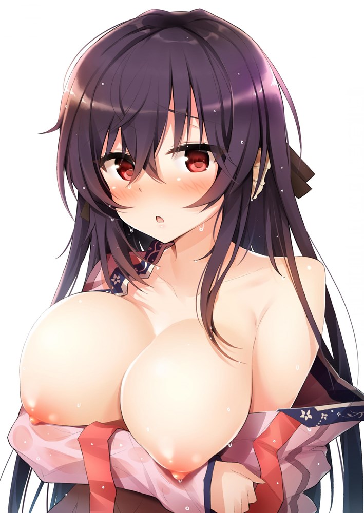 【パイモロ】乳だけ出してる/出てる画像【二次エロ】　その１９